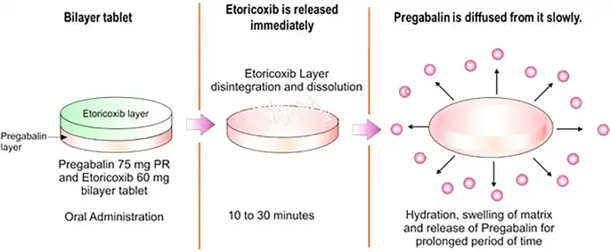 etoricoxib efficacy
