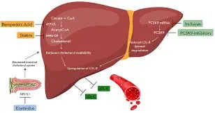 effective ezetimibe