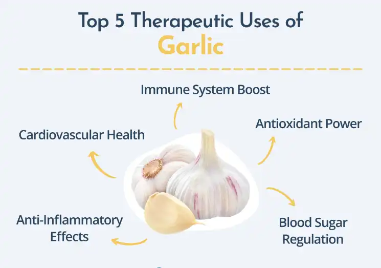 Allicin Application Allicin Application