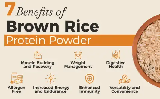 Brown Rice Protein Brown Rice Protein