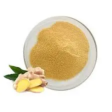 Application of Gingerol powder Application of Gingerol powder