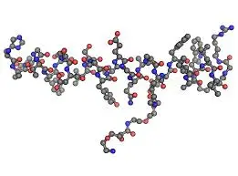 Semaglutide