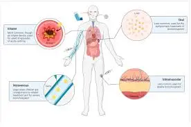 What is salbutamol powder and how does it work