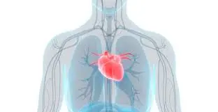 Can Perindopril prevent heart attacks and strokes