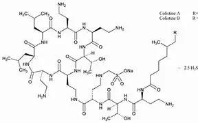 product-1-1 product-1-1
