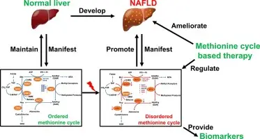 product-1-1 product-1-1