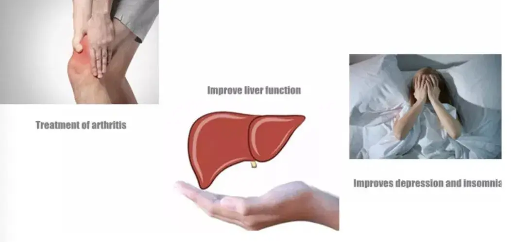 product-1-1 product-1-1