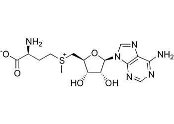 product-1-1 product-1-1