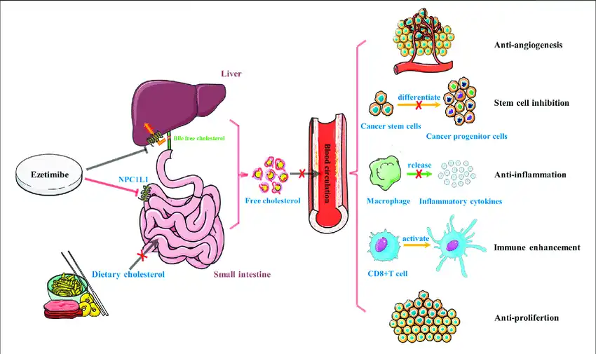 Application of Ezetimibe Application of Ezetimibe