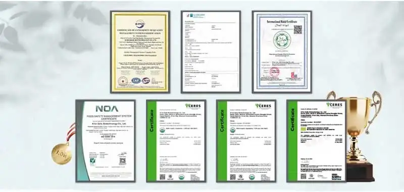 salis Certification salis Certification