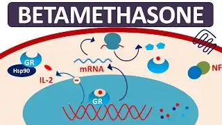 betamethasone betamethasone