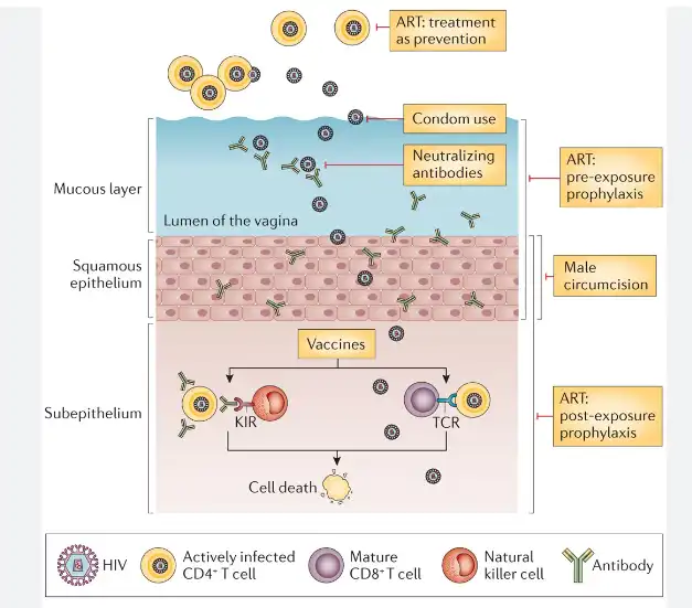 Nevirapine Nevirapine