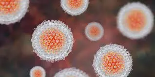 Ceftriaxone Sodium Application Areas Ceftriaxone Sodium Application Areas