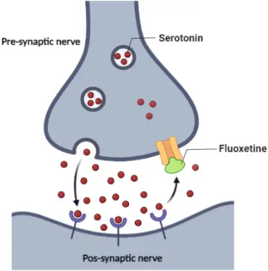 Fluoxetine