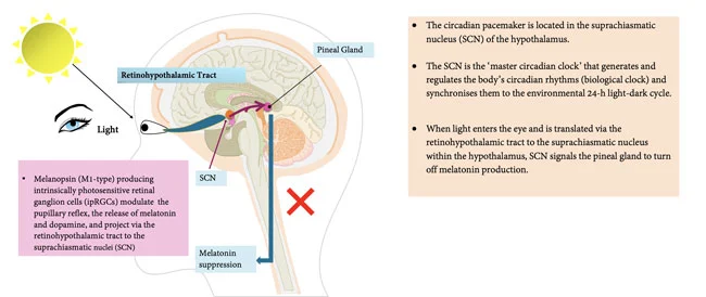Clomipramine Clomipramine