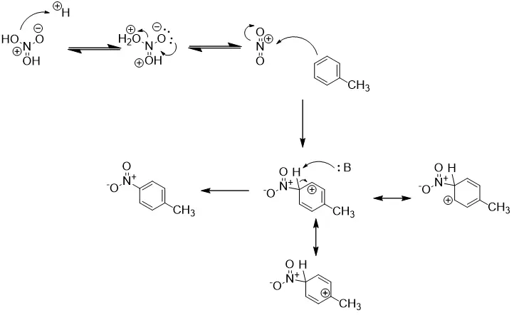 Benzocaine Hydrochloride