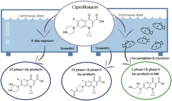 ciprofloxacin