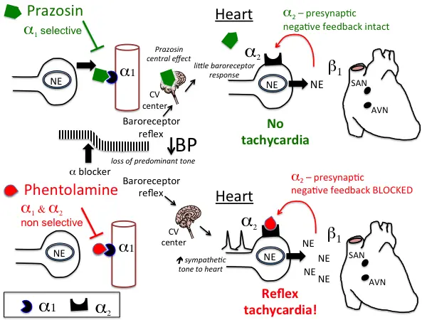 use of prazosin
