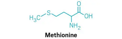Methionine