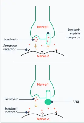 Citalopram