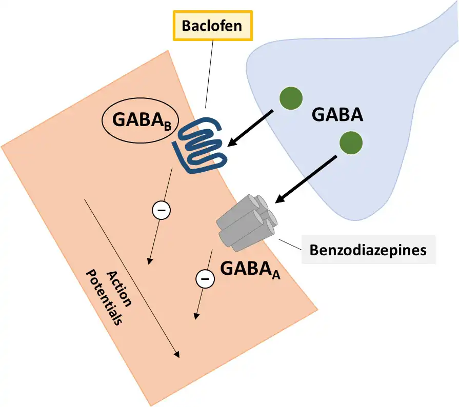 Baclofen