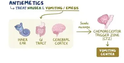 TRIMETHOBENZAMIDE TRIMETHOBENZAMIDE