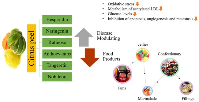 What are the main sources of Nobiletin and how is it extracted What are the main sources of Nobiletin and how is it extracted