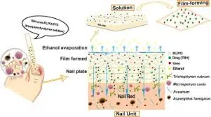 How do you use Terbinafine HCl How do you use Terbinafine HCl