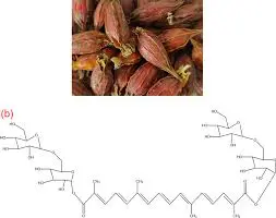 What are the main active compounds in Gardenia Yellow What are the main active compounds in Gardenia Yellow