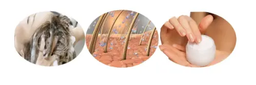 Ketoconazole powder Ketoconazole powder