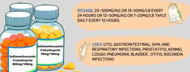 What factors affect the dosage of Trimethoprim powder? What factors affect the dosage of Trimethoprim powder?