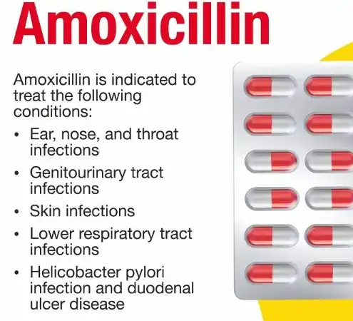 What types of infections can powder amoxicillin treat?