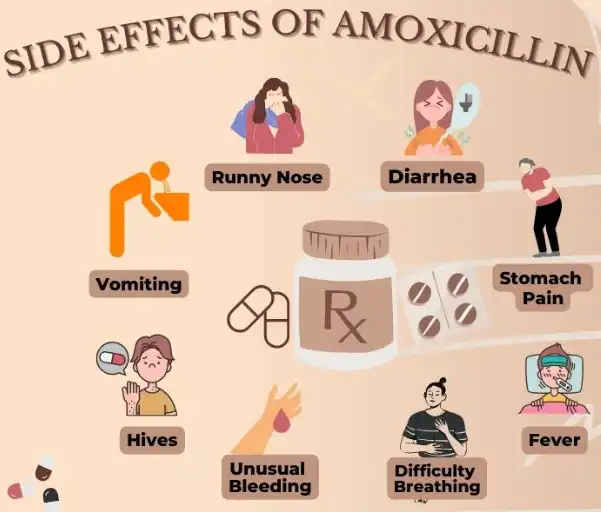 Amoxicillin Powder