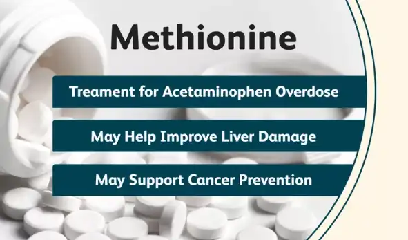 How Does Methionine Powder Support Liver Function