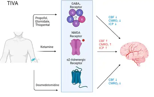 How does desflurane affect the central nervous system? How does desflurane affect the central nervous system?