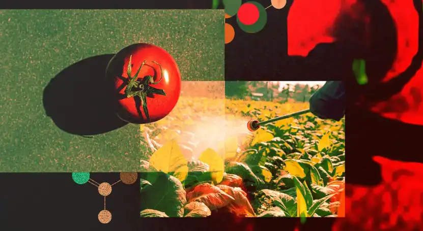 How often should you apply Acephate? How often should you apply Acephate?