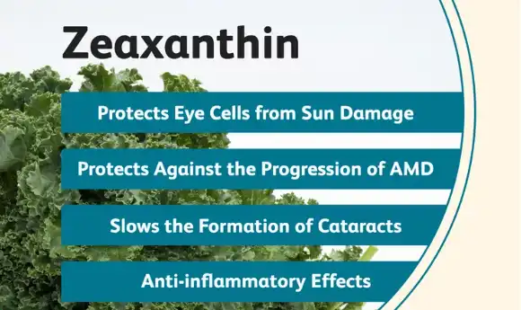 What is Zeaxanthin Extract and How Does It Work? What is Zeaxanthin Extract and How Does It Work?
