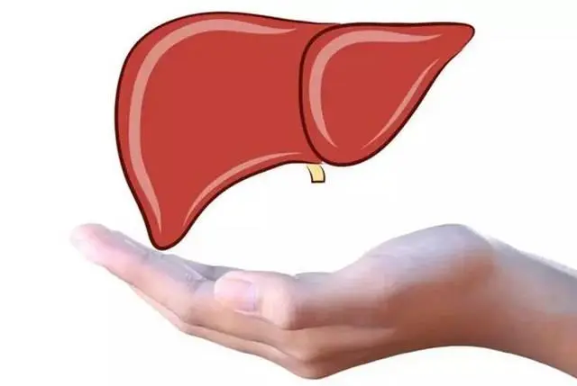 Promoting liver health Promoting liver health