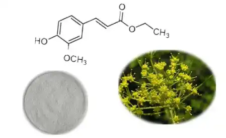 Ferulic Acid Ferulic Acid
