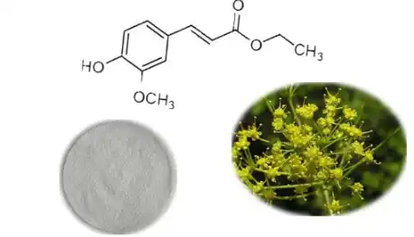 Ferulic Acid Ferulic Acid