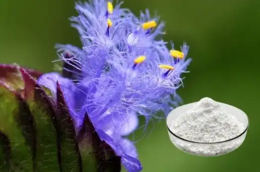 Ecdysterone powder Ecdysterone powder