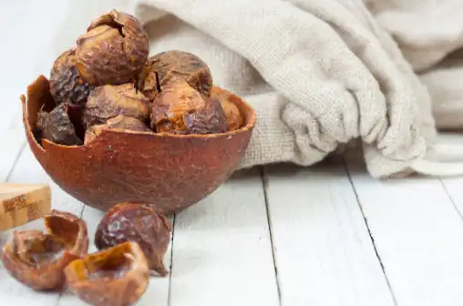 blog-508-336 blog-508-336