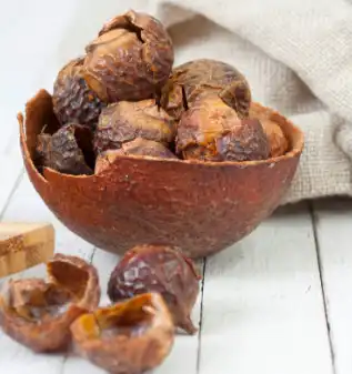 sapindus saponins sapindus saponins