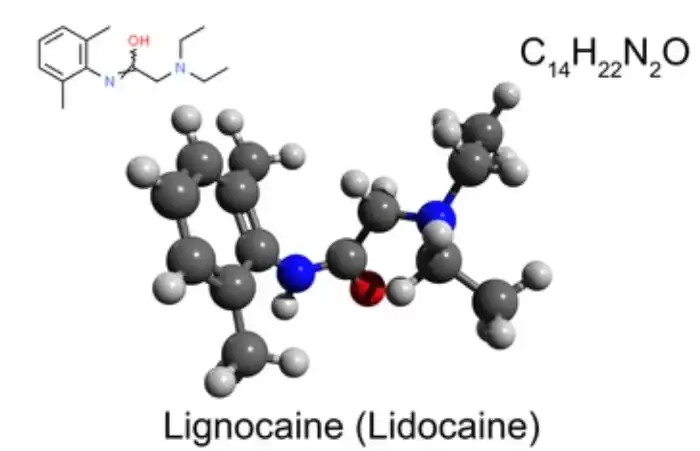What is the chemical structure of Lidocaine Powder and how does it affect its function? What is the chemical structure of Lidocaine Powder and how does it affect its function?