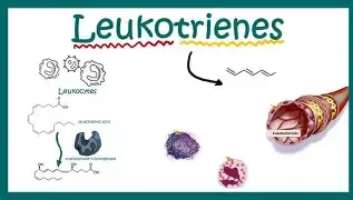 Can Leukotriene F4 influence cardiovascular function? Can Leukotriene F4 influence cardiovascular function?